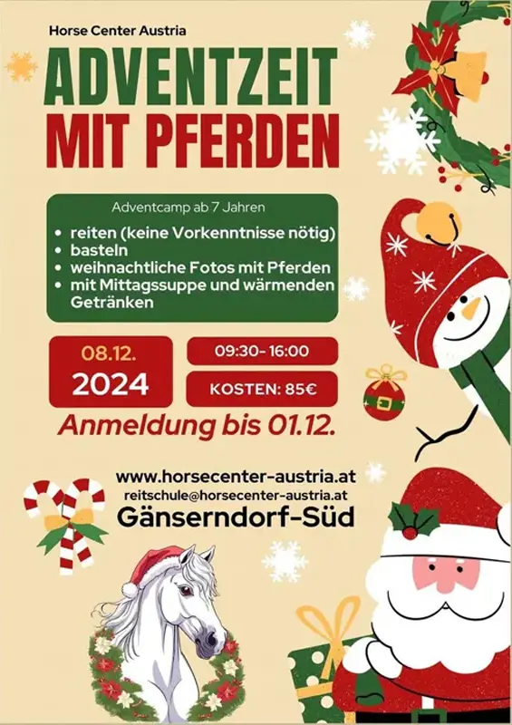 adventzeitmitpferden24