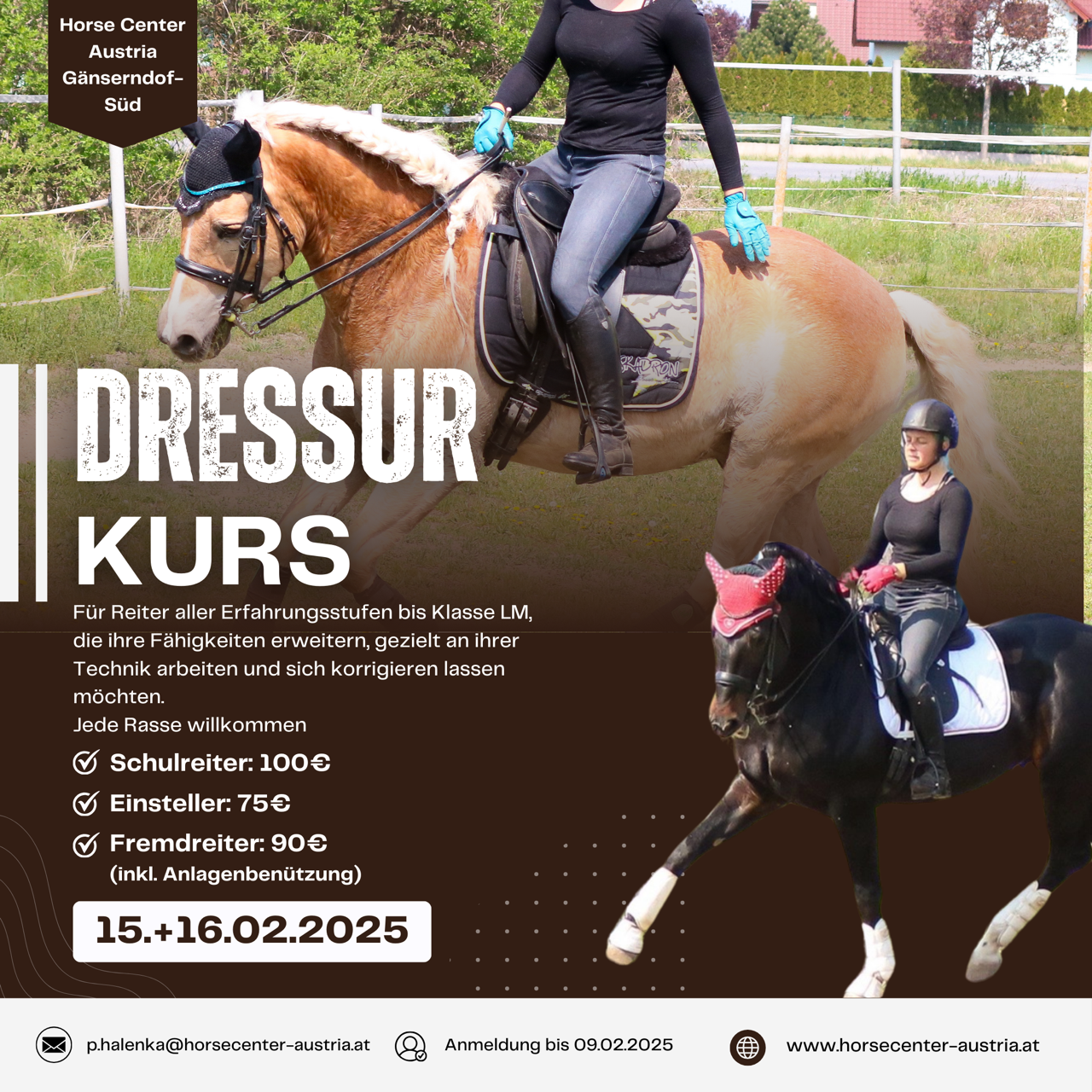 dressurkurs2025