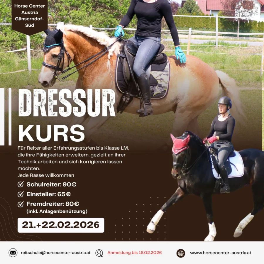 dressurkurs2602