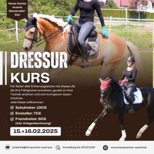 dressurkurs2025