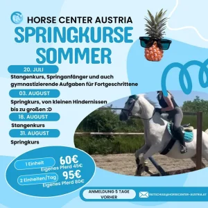 Springkurse Sommer 2024