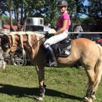 horse-b1