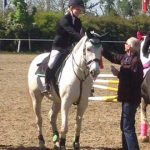horse-s1