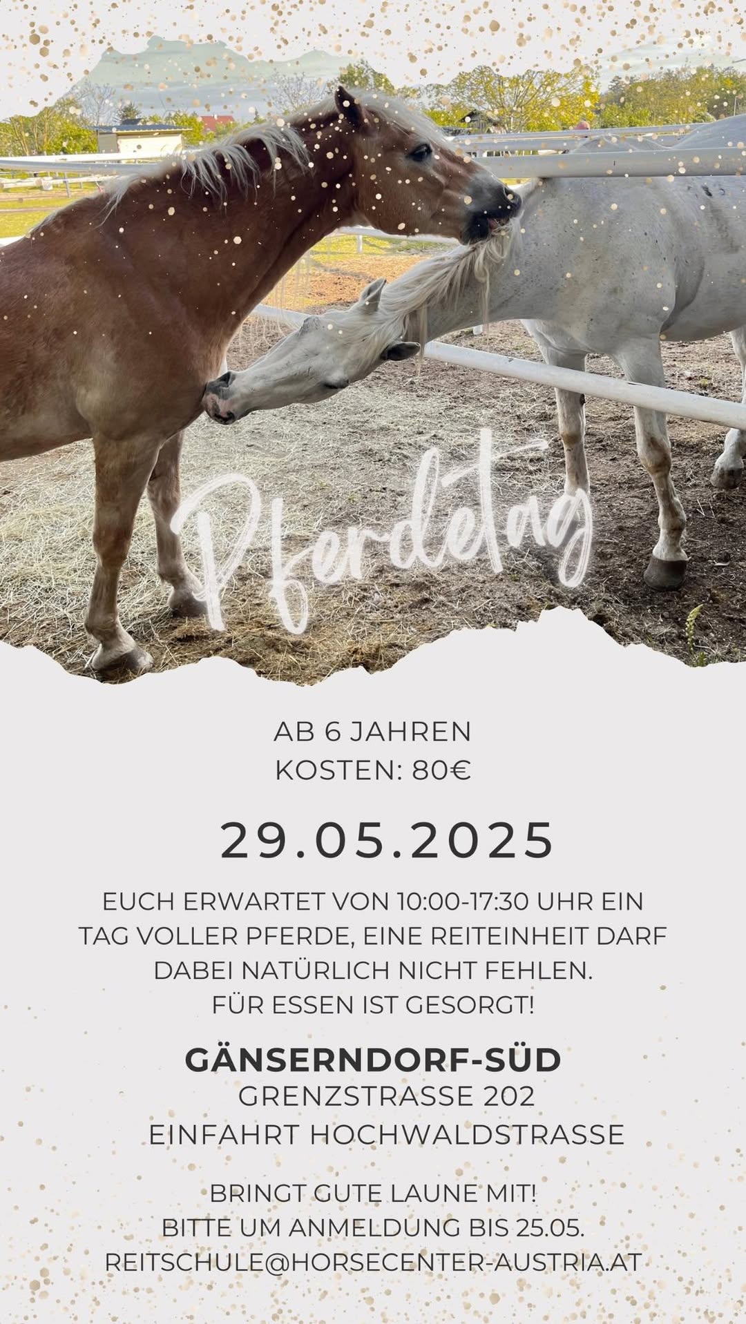 pferdetag Mail 2025