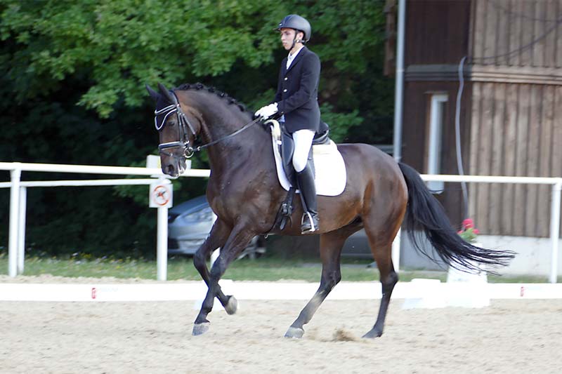 Juno Margarethen am Moos